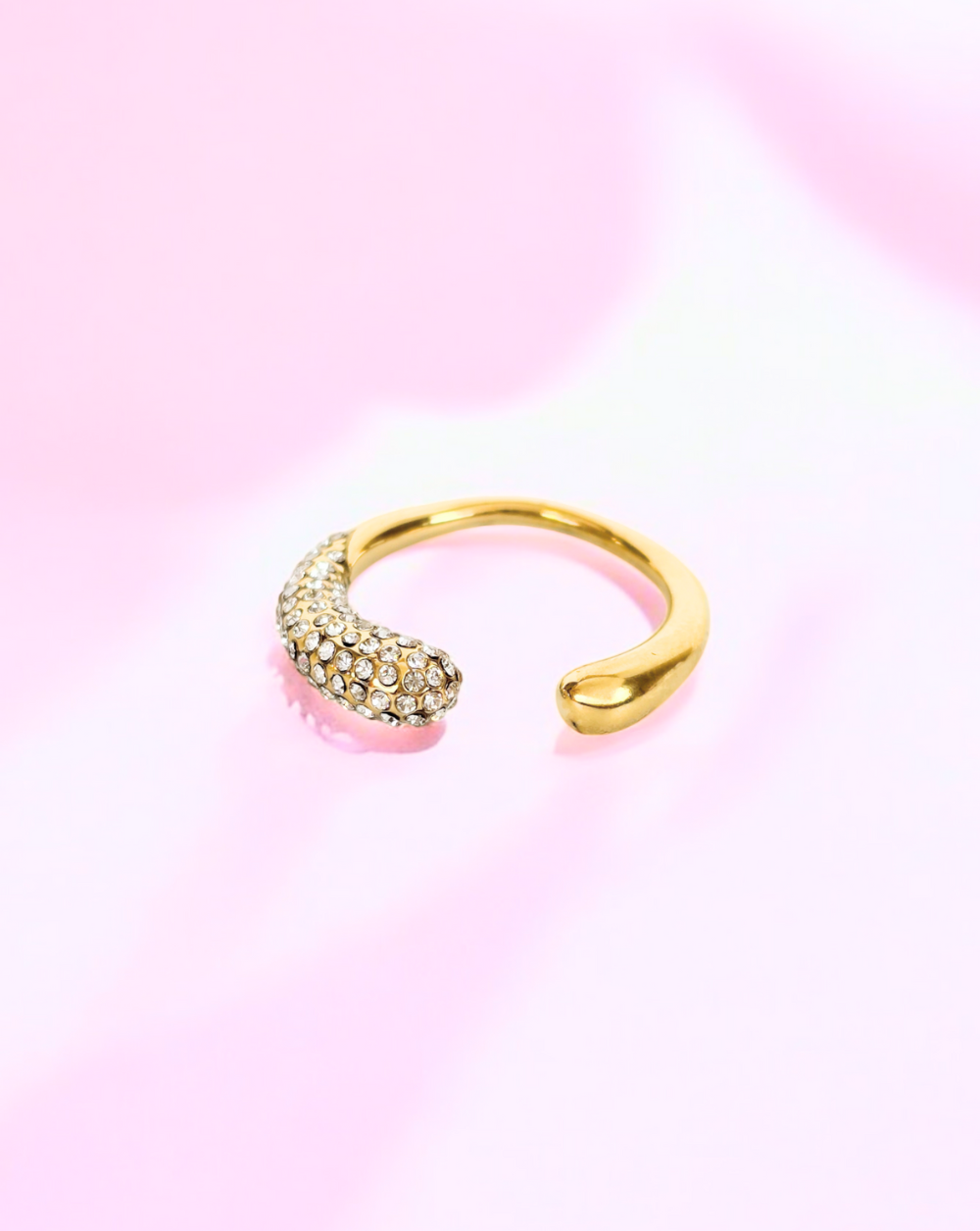 Ring ORION