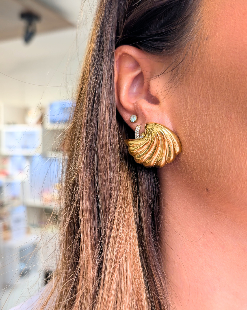 ENRICH shell earrings, stainless steel - Trgovina Patrizia Ljubljana