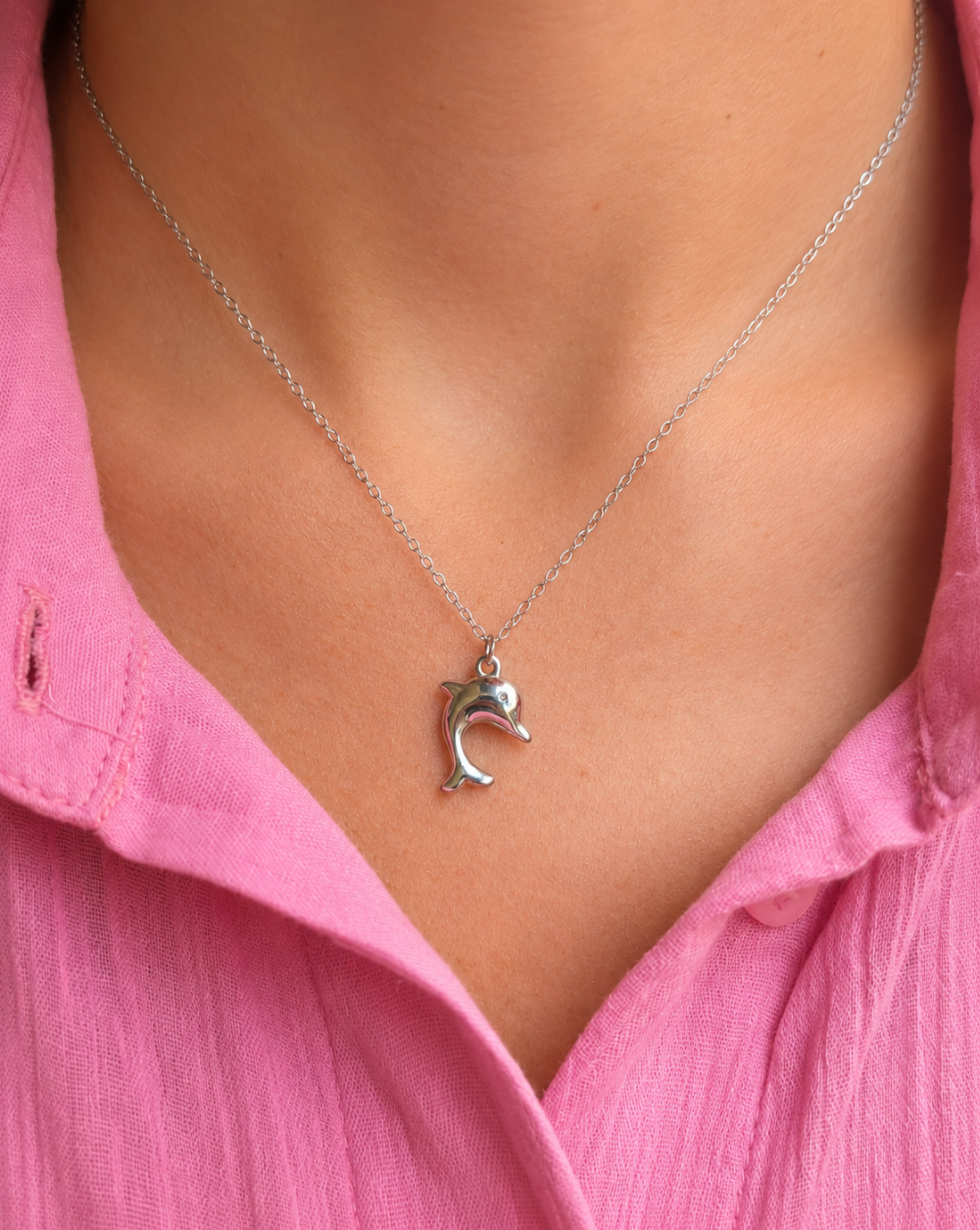 Necklace Stainless Steel Necklace with Dolphin Pendant – Trgovina Patrizia .