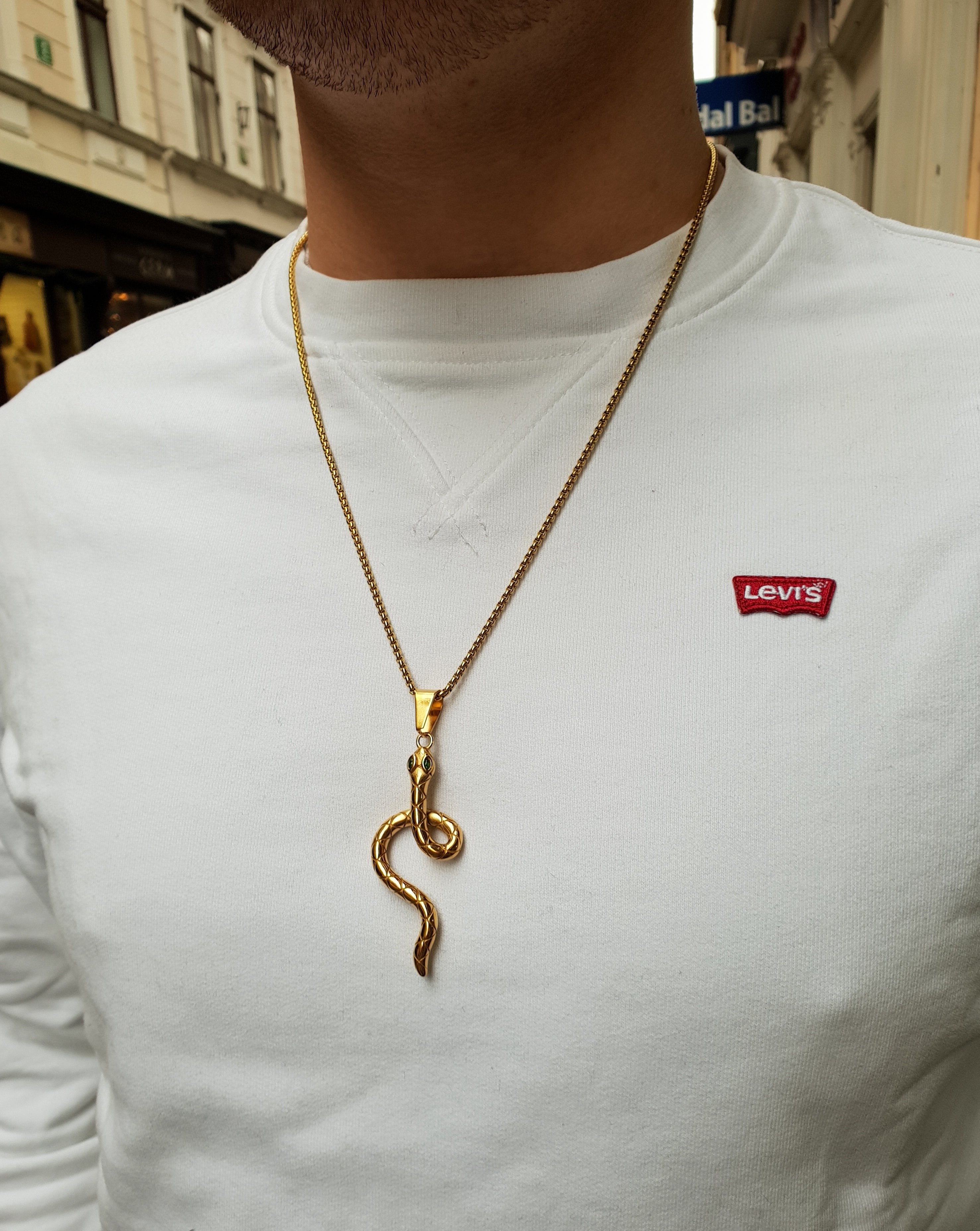 Men's necklace SNAKE | Gold