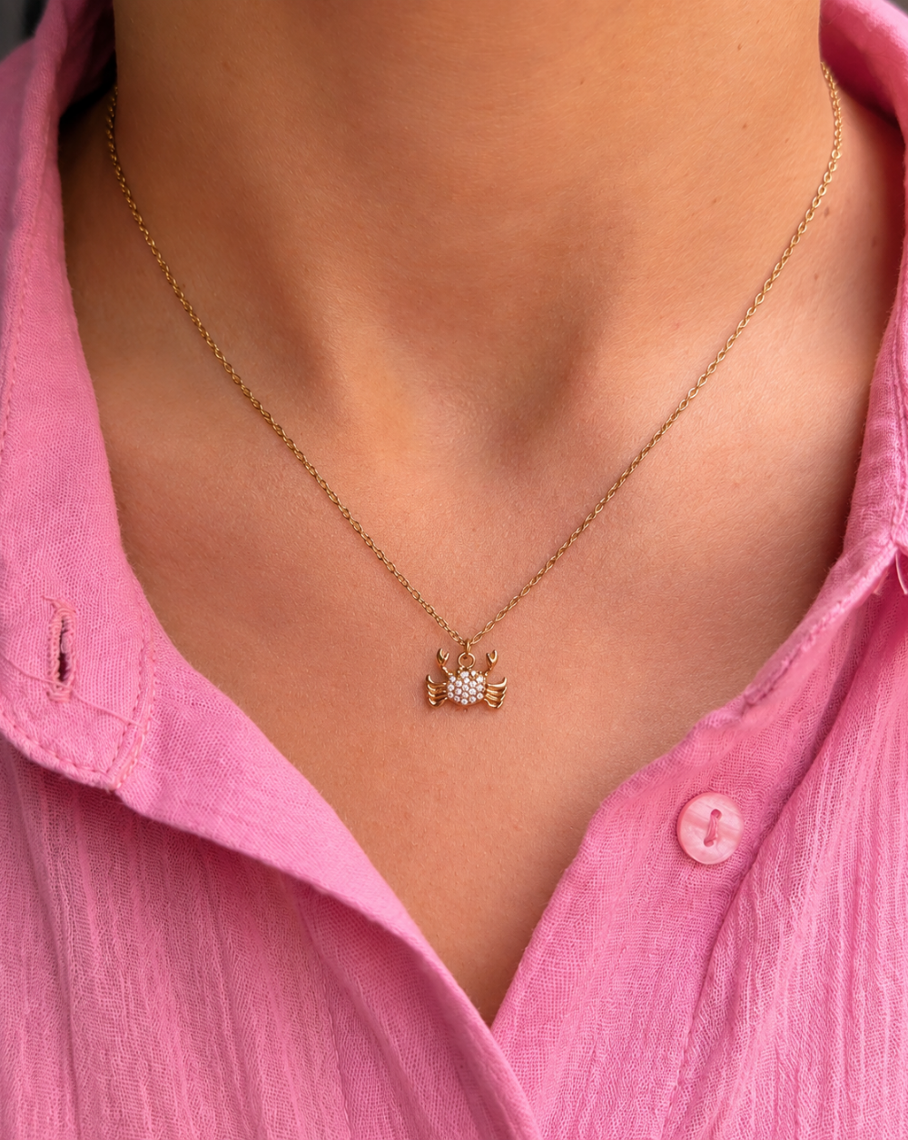 Necklace GLOW Stainless Steel Necklace with a Crab Pendant and Crystals – Trgovina Patrizia .
